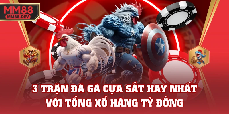 3 Trận Đá Gà Cựa Sắt Hay Nhất Với Tổng Xổ Hàng Tỷ Đồng