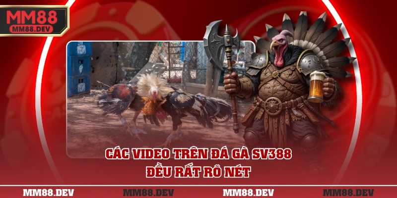 Các video trên đá gà SV388 đều rất rõ nét