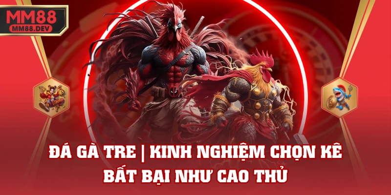 Đá Gà Tre | Kinh Nghiệm Chọn Kê Bất Bại Như Cao Thủ