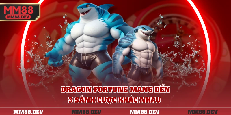 Dragon Fortune mang đến 3 sảnh cược khác nhau