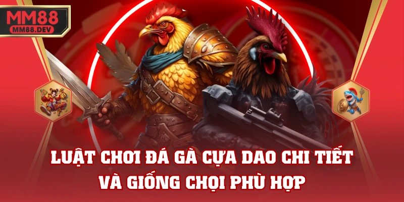 Luật Chơi Đá Gà Cựa Dao Chi Tiết Và Giống Chọi Phù Hợp