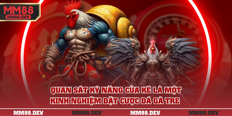 Quan sát kỹ năng của kê là một kinh nghiệm đặt cược đá gà tre