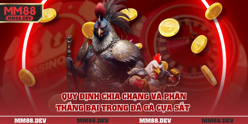 Quy định chia chạng và phân thắng bại trong đá gà cựa sắt