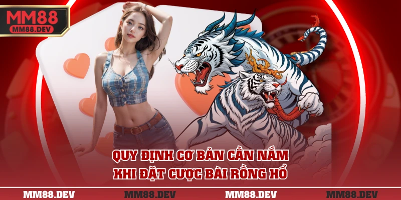 Quy định cơ bản cần nắm khi đặt cược bài Rồng Hổ