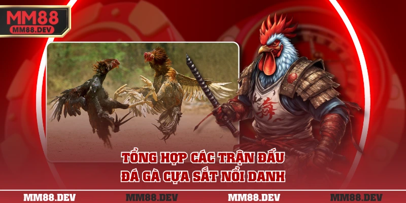 Tổng hợp các trận đấu đá gà cựa sắt nổi danh