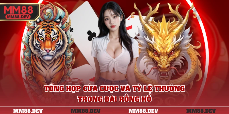 Tổng hợp cửa cược và tỷ lệ thưởng trong bài Rồng Hổ