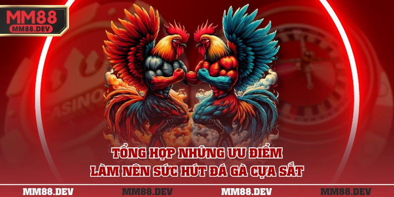 Tổng hợp những ưu điểm làm nên sức hút đá gà cựa sắt
