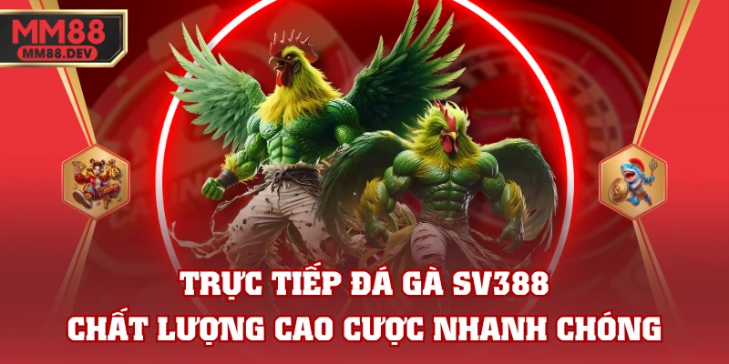 Trải Nghiệm Đá Gà MM88 - Sân Chơi Đẳng Cấp Cho Kê Thủ